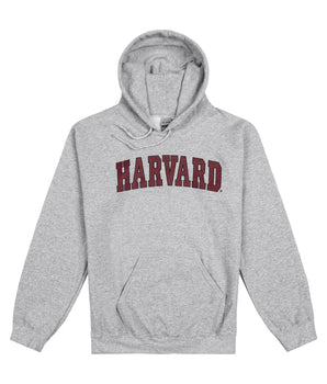 Harvard Hooded Arc Sweatshirt - The Harvard Shop