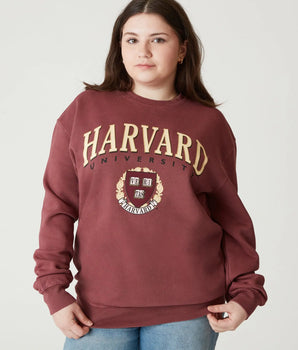 Harvard Retro Crewneck - The Harvard Shop
