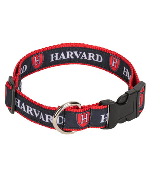 Harvard Shield Dog Collar - The Harvard Shop