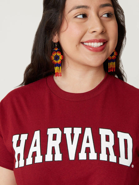 Harvard Arc T-shirt – The Harvard Shop