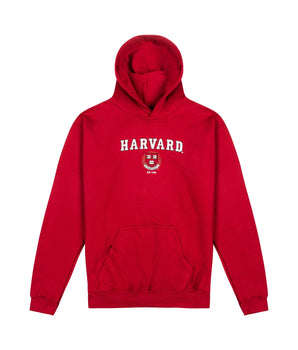 Youth Harvard Crest Hooded Sweatshirt - The Harvard Shop