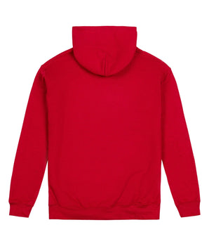 Youth Harvard Crest Hooded Sweatshirt - The Harvard Shop